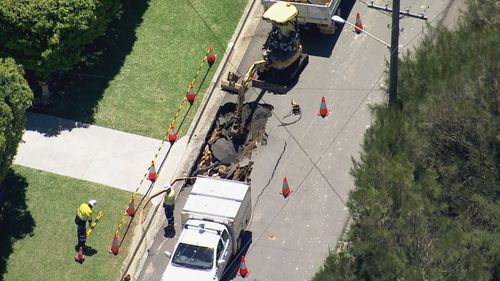 A sinkhole has opened up in Newport on Sydney's northern beaches.