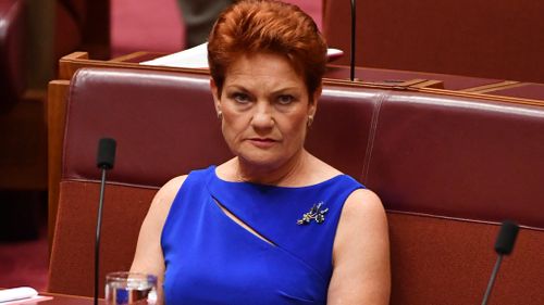 Pauline Hanson's One Nation reportedly risks deregistration over electoral law breaches