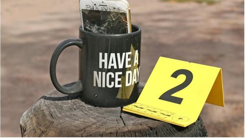 Ablack coffee mug glued to the gate post with the phrase 'HAVE A NICE DAY' printed on it at the Train property in Wieambilla.