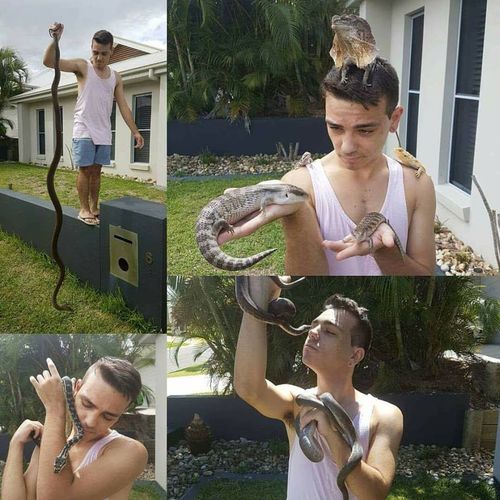 Nathan Chetcuti post images and videos of his snakes and lizards online. (Facebook)