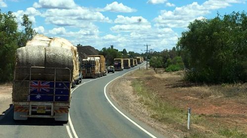 120 trucks left Darlingtonpoint in NSW on Thursday morning. (Image: Facebook)