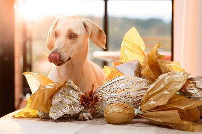 A dog celebrating easter with easter eggs.