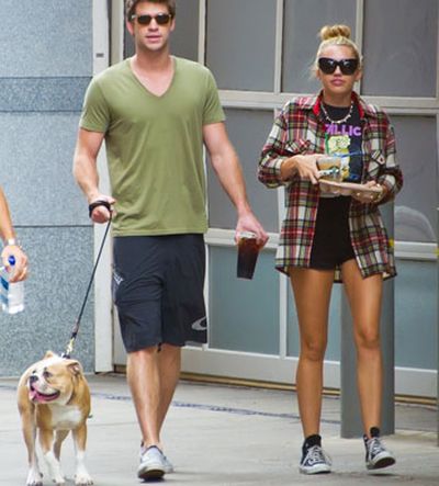 2013 is really shaping up to be The Year of No Pants for <b>Miley Cyrus</b>. I mean, a <i>lot</i> of Pilates went into that body, so why not show it off, right?<P><br/>Whether she's in skimpy hotpants, cut off shorts or pants to tiny we can't see them at all, watch Miley's reign of pantsless terror unfold!<br/>