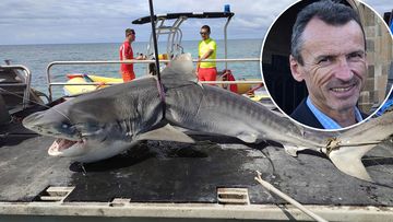 Australian man Chris Davis and the shark which is believed to have killed him.
