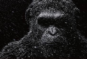 What primate species is Caesar in Planet of the Apes?