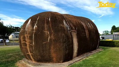 World's biggest potato