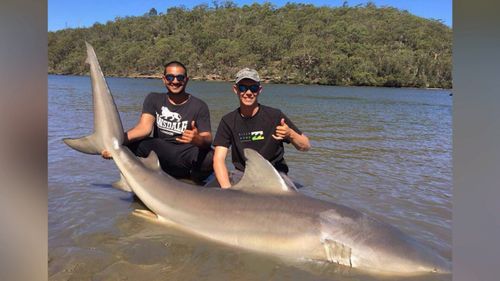 Hassan Alameri and Luke Moir reeled in this 3.5-metre bull shark from the Georges River in Sydney's south yesterday (Supplied).