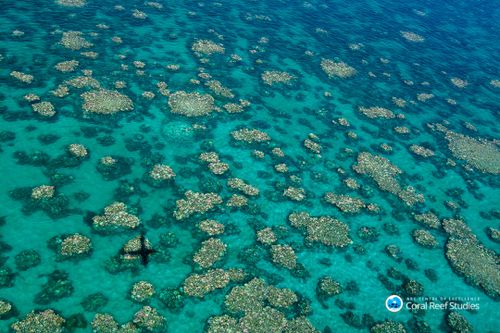 An aerial hptograph of the Great Barrier Reef from April 2017 shows bleaching across large swathes of the water. (AAP)
