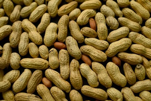 Nut allergies are on the rise in Australia. (AAP)