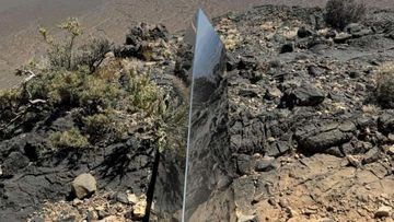 A strange monolith found jutting out of the rocks in a remote mountain range near Las Vegas has been taken down by authorities.