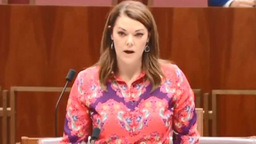 Sarah Hanson Young has begun defamation proceedings against David Leyonhjelm.