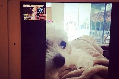 @normancook: Emmy morning FaceTime w the Rubes!!!! @peteyleo