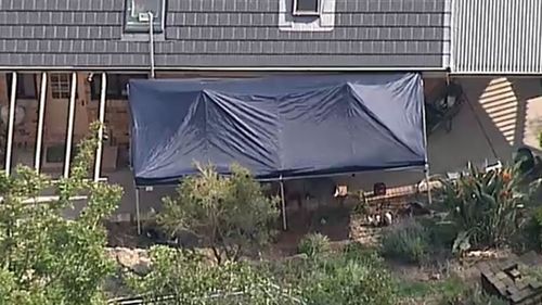 A tent has been erected over soil at the side of the house.