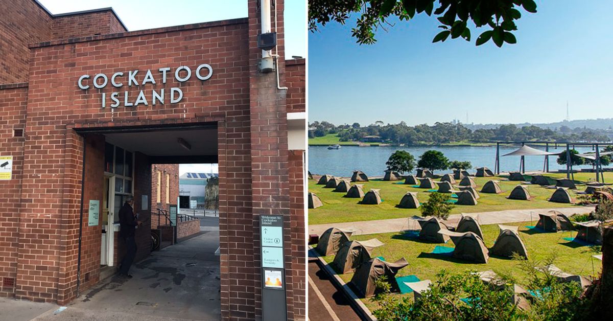 Review Cockatoo Island deluxe camping 9Travel
