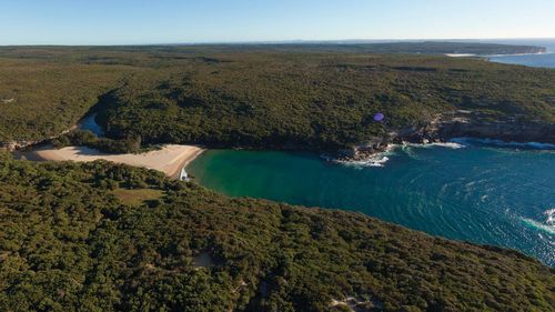 Fisherman critical after being swept off rocks in Royal National Park