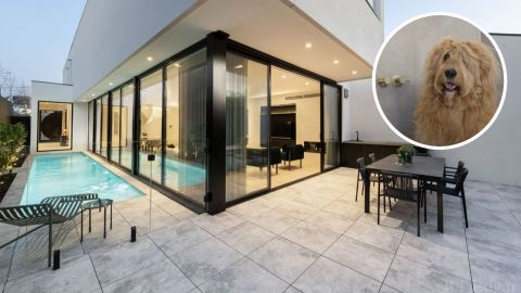 home for sale luxurious dog wash melbourne toorak domain 
