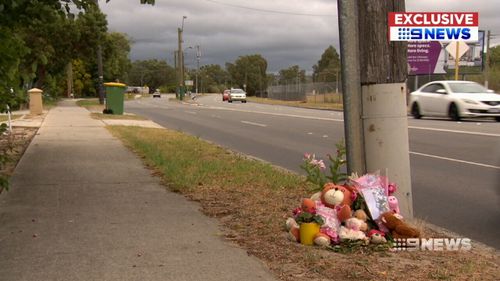 The three-year-old was fatally struck after wandering into oncoming traffic. (9NEWS)