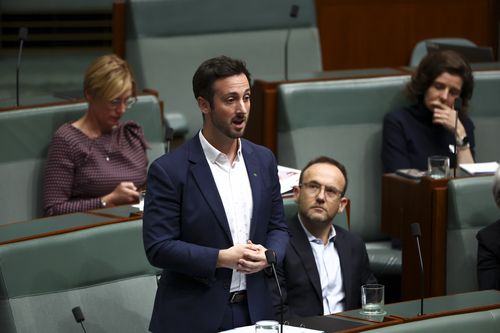 Greens MP Stephen Bates  during Question Time