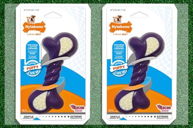 9PR: Nylabone Just for Puppies Double Action Bone Teething Chew Toy