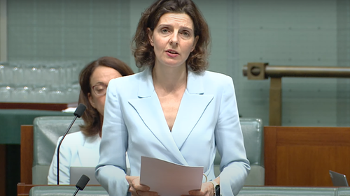 Na Câmara dos Representantes esta tarde, a deputada independente Allegra Spender apresentou uma moção para; deplorar o aumento do anti-semitismo, condenar o anti-semitismo e decidir que todos os parlamentares trabalhem em conjunto para combater o anti-semitismo.