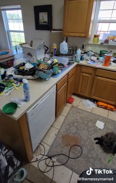 Woman shares video of her house after not cleaning for four days.