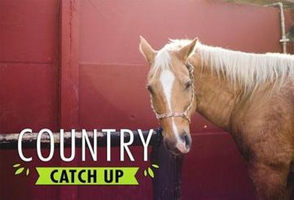 Country Catch Up