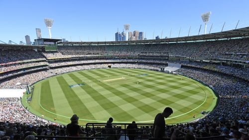 Cricket Australia confirmed in a statement it "ended its employment arrangement with Ms Williamson in late June." (Image: AP)