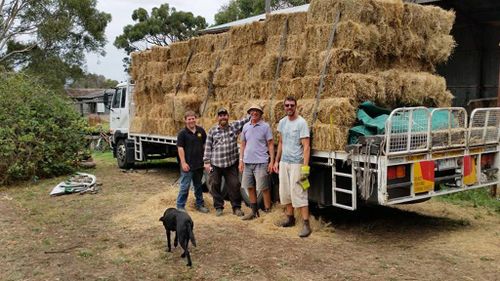 Victorian volunteers to spend Australia Day delivering hay to farmers in need