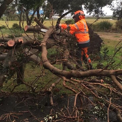 The SES has already been inundated with calls, with more expected over the coming days in the wild weather.