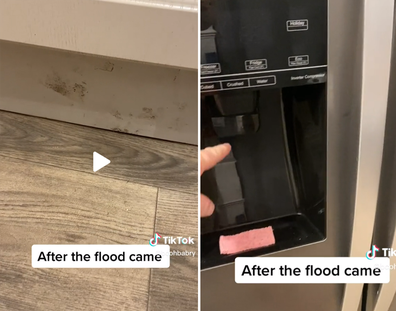 Dog owners find house flooded after new puppy chews water supply to fridge