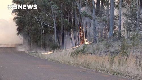 The blaze has sparked spot fires ahead of the main fire front at Mount Kingiman.