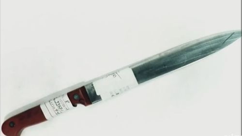 The knife allegedly used.