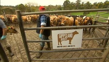 VIDEO: Victorian farmers band together to boost struggling dairy industry