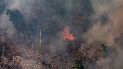 In this aerial image, a fire burns in a section of the Amazon rain forest on August 25, 2019 in the Candeias do Jamari region near Porto Velho, Brazil. 