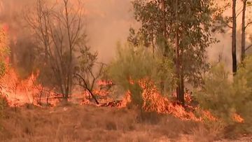 Tara bushfire Western Downs region Queensland