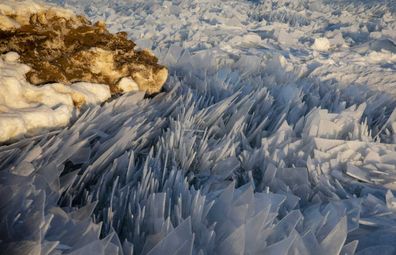 Michigan Ice Shards