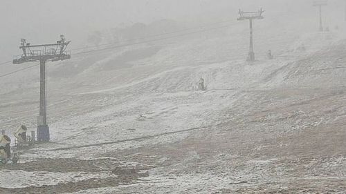 Perisher's Front Valley about midday today. (Perisher Snow Cam)