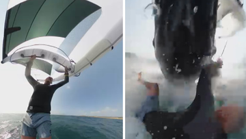Jason Breen was wing surfing when the juvenile whale sent him flying.