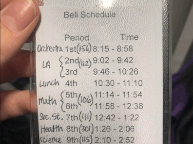A Reddit user has shared her brother's confusing middle school timetable. 