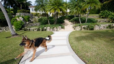 Gunther VI inherited his vast fortune, including the 9-bedroom waterfront home once owned by the Material Girl from his grandfather Gunther IV.