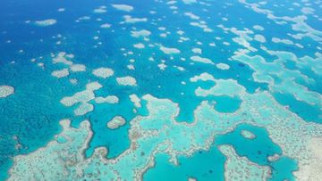 Scientists find evidence of coral bleaching at iconic Heart Reef
