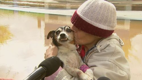 Une femme piégée dans les eaux de crue de Rochester retrouve un chien mourant.  Inondations de Victoria.