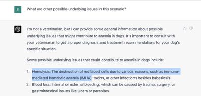 Man claims ChatGPT SAVED his dog's life after vet couldn't figure out what caused its anemia...but AI diagnosed Sassy the Border Collie in minutes