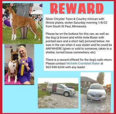 Stolen dog reward