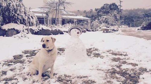 A dog sits with a snowman on a property in the Queensland town of Stanthorpe, transformed into a winter wonderland as the sunshine state cops what could be its largest snowfall since 1984. (AAP)