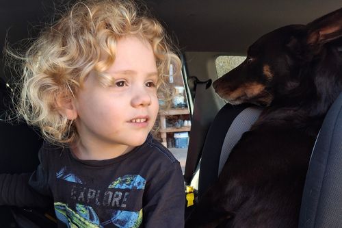 A new image of Gus Lamont has been released today.