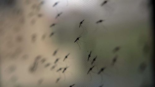 Malaria is spread by mosquitoes.