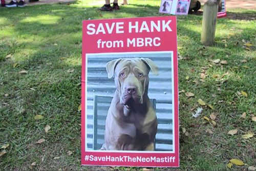 Hank's owners launched a successful campaign to save his life.
