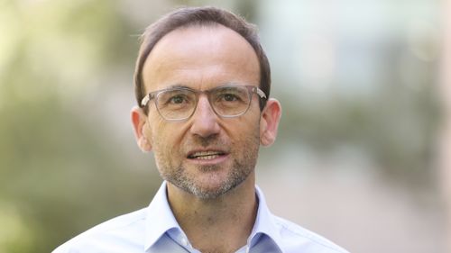 Greens leader Adam Bandt has confirmed his party will vote with Labor to pass the government's climate bill.