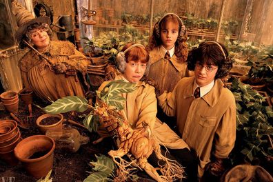 Harry Potter, Miriam Margolyes, Daniel Radcliffe, Emma Watson, Rupert Grint